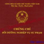 Nghiệp vụ sư phạm giáo viên tccn